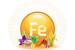 <b>IRON</b>